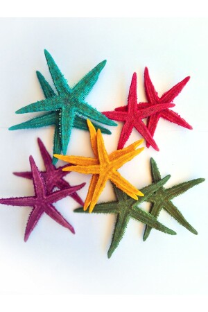 Real Starfish 10-11 Cm - Mixed Color - 10 Pieces - Evinizdeki Okyanus Esintisi Turkuaz Hediyelik