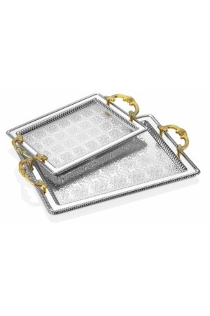 Rectangular 2 Liter Tray 2020111113 - Dalgıç