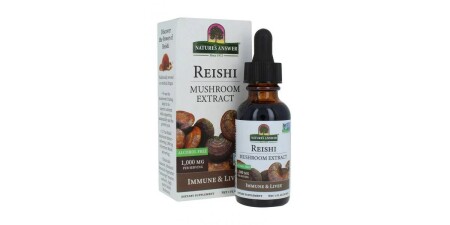Reishi Mushroom Extract - POWERBODY