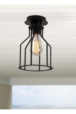 Retro Metal 1 Piece Black Ceiling Plofioner Cage Rustic Chandelier RYS00143 - Rsylight
