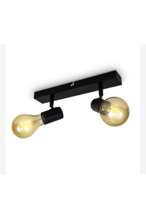 Retro Metal Decorative 2-Piece Ceiling Plofioner Articulated Spot Chandelier rsy20202028 - Rsylight