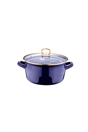 Robin Frying Pan Navy Blue 22 Cm T4973 - Taşev