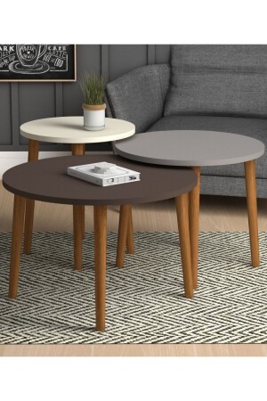 Roma 3-piece Coffee Table Cream Gray Dark Brown - Monte Sehpa