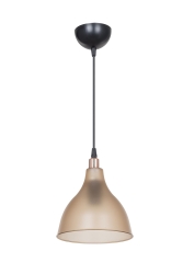RONDA TEKLİ SARKIT BAL TBS.17601 - Genel Markalar