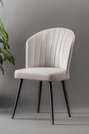 Rubi Chair - Babyface Cream - Black Metal Leg rubisandalye - Mymassa
