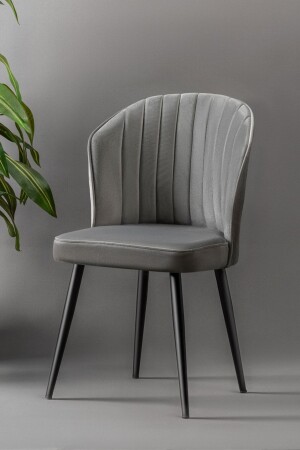 Rubi Chair - Babyface Gray - Black Metal Leg rubisandalye - Mymassa
