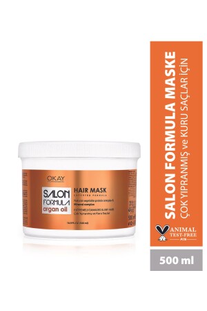 SALON FORMULA Argan Saç Maskesi 500ml (Çok Yıpranmış ve Kuru saçlar İçin) - Okayprofessionnel