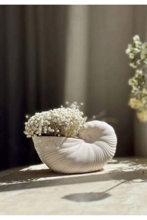 Seashell Shaped Decorative Vase - Ayme Decoration