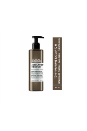 Serie Expert Absolut Repair Molecular Rinse Seru für alle geschädigten Haare - L'oreal Professionnel