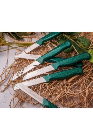 Serrated 1 Quality Fruit and Vegetable Knife 6 Pieces 2130k. - Solingen