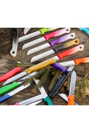 Serrated Fruit and Vegetable Knife 6 Pieces 001 - Solingen