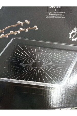 Serving Plate 68683 Madlen Crystal Glass 24x24 Fma90099 080oa 8693357537316 - Paşabahçe