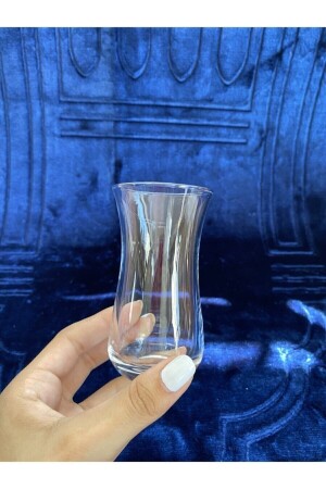 Set mit 6 Raki-Gläsern nlbr30064 - Paşabahçe