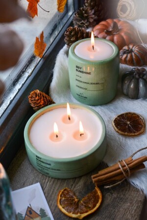 Set of 2 Lavender Scented Soy Candles in a Green Concrete Pot - Ersustore