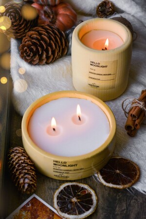 Set of 2 Yellow Amber Scented Soy Candles in a Concrete Flower Pot - Ersustore
