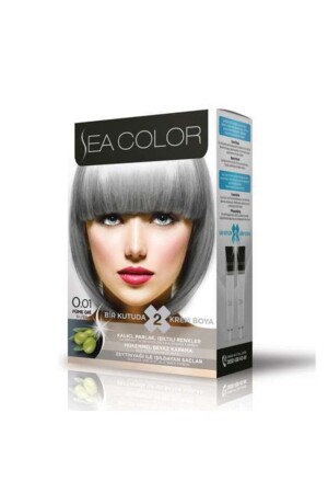 Set Paint 0-01 Smoke Gray - Sea Color