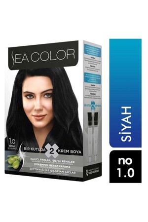 Set Paint 1. 0 Black 8698753381808 - Sea Color