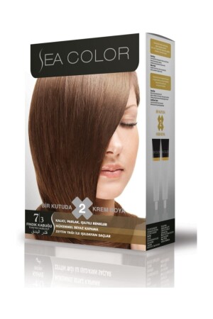 Set Paint 7-3 Hazelnut Shell - Sea Color