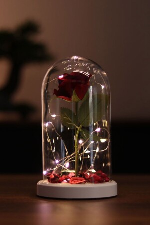 Sevgililere Özel Romantik Hediye Kırmızı Gül Işıklı Cam Fanus Lamba FNS-74 - BY-LAMP