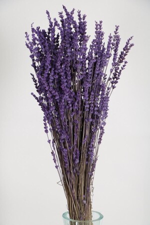 Shock-Proof Spill-Resistant Real Lavender Bunch Purple (100 Gr) - Hanımın Atölyesi