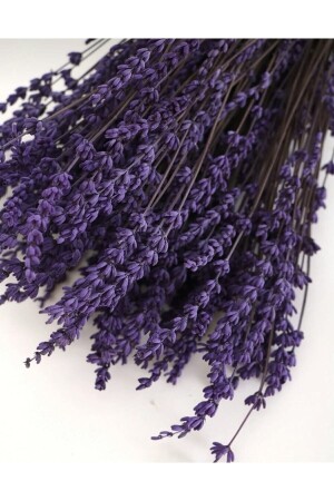 Shocked Non-Shedding Real Lavender - Efiraz