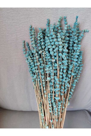 Shocked Non-shedding True Blue Lavender - Efiraz