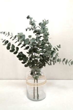 Shocked Small Green Eucalyptus Bunch - Genel Markalar
