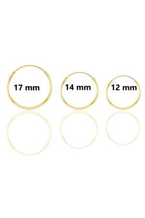 Silver Gold Gilded Hoop Earrings Consisting of Three Sizes - Söğütlü Silver