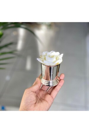 Silver Plated Rose Bucket - Zucace