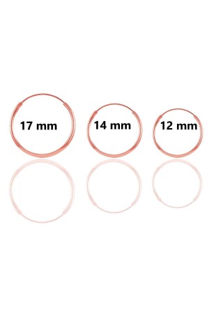 Silver Rose Hoop Combination Earrings Consisting of Three Sizes SGTL11169 - Söğütlü Silver