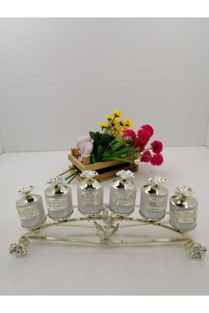 Silver Spice Set 6-Piece Spice Rack 565658595 - moda atölyesi