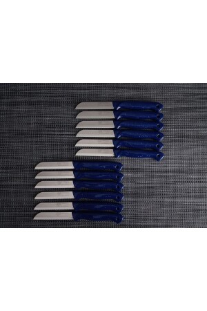 Silvery Dark Blue Fruit Knife 12 Pack MYM023 - Solingen