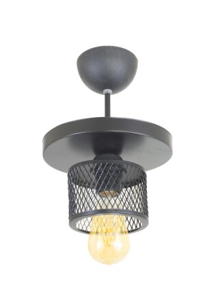 Single Cage Model Modern Plafonier Chandelier LMBDR35411 - Lambadar