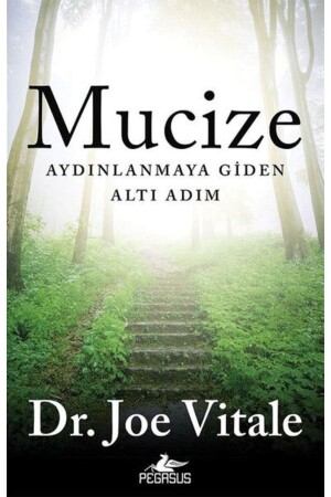 Six Steps to Miracle-Enlightenment - Pegasus Yayınları