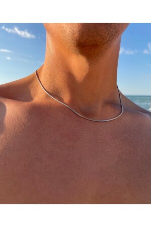 Snake Chain Necklace - Zweig