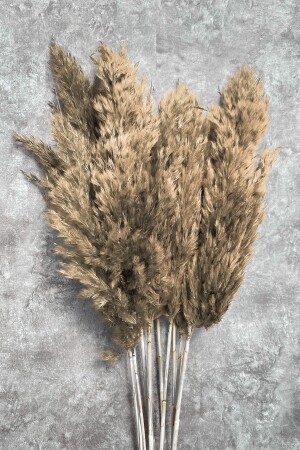 Şoklanmış Naturel Renkli Pampas Demeti 10'lu - Goya Home