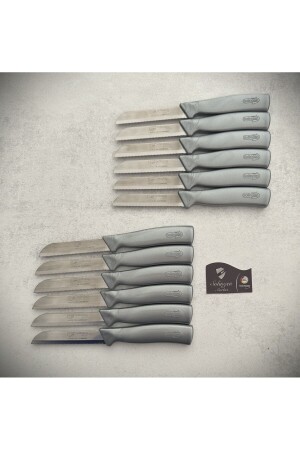 Sparkling Fruit and Vegetable Knife 12 Pack GRAY - Solingen