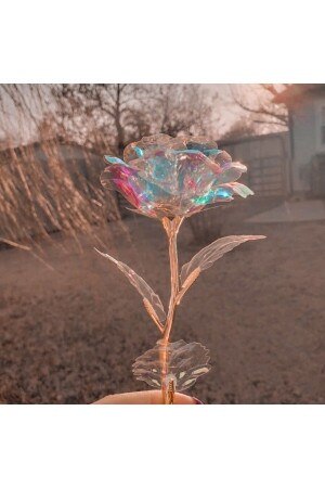 Special for Valentine's and Mother's Day - Decorative Unfading Eternity Rose - Hkm Hobim