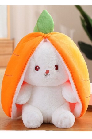 Special Gift for Lover Carrot Rabbit Special Design - Both Carrot and Rabbit with Zippered Structure - Canestar