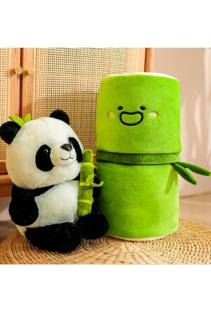 SPECIAL GIFT FOR YOUR LOVER - BAMBOO PANDA PLUSH TOY - WITH A SPECIAL ZIPPER DESIGN - Canestar