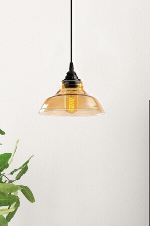Special Model Single Black Modern Honey Glass Pendant Lamp Chandelier LMBDR3507SYHBAL - Lambadar