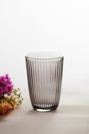 Splendid Set of 4 Soft Drink Glasses Smoked 395 cc - Rakle