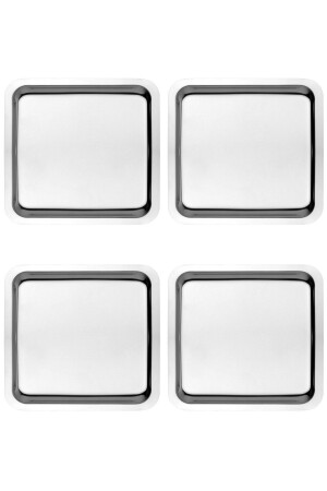 Stainless Steel Silver Color Presentation Tray 21 - Kitchen Design Lab
