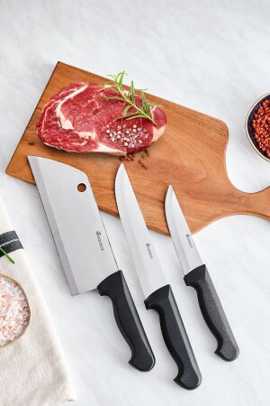 Stamina 3 Piece Professional Knife Set 153. 03. 08. 2687 - Karaca