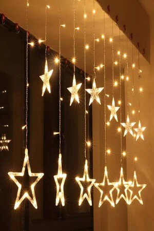 Starry Curtain with Pendant Fringes and LED Lights Animated - Goldenstar