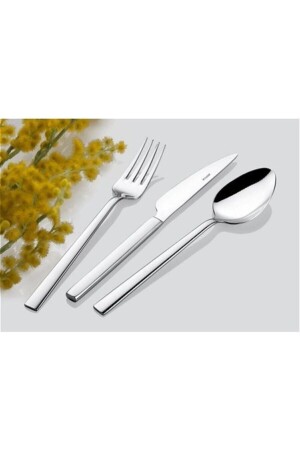 Steel Nil 60 Piece Fork & Spoon Set EMRINTER71 - İnter