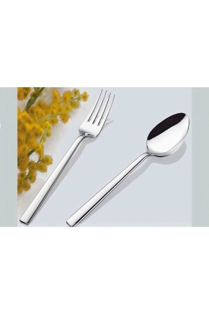 Steel Nil 60 Piece Spoon Set UYGUN8745 - İnter