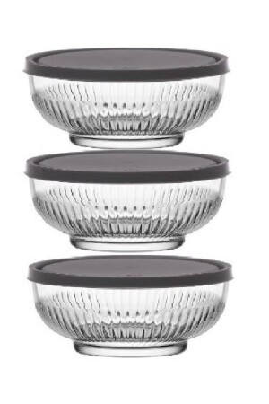 Storage Container 3 Pieces 489796623 - Lav