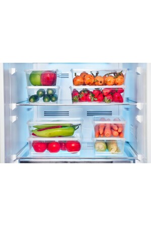 Storage Container 5 Pieces 2 Lt Lockable-Freezer-refrigerator-supplies-toy-meal-coffee-ingredient box-food - Superpup
