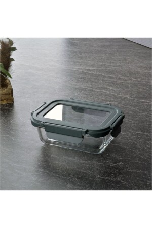 Storage Container with Locking Glass Lid 370 Ml Gray Thn84505 THN84505 - Tohana